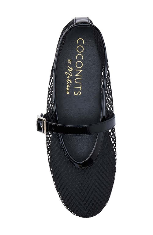 Coconuts By Matisse Nolita Black Mesh Buckle Ballet Flats In Black