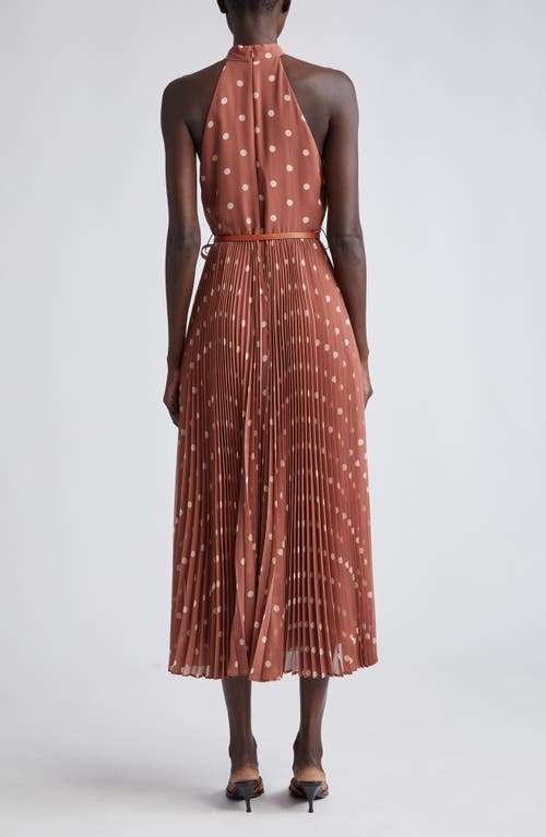 Shop Zimmermann Sunray Picnic Pleated Chiffon Midi Dress In Aragon/cream Dot