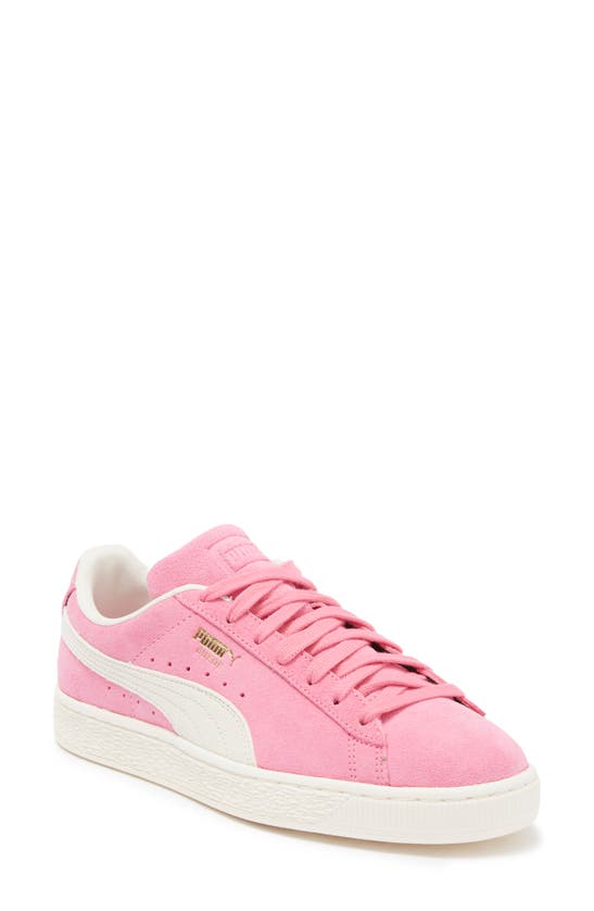 Shop Puma Neon Sneaker In Poison Pink-frosted Ivory