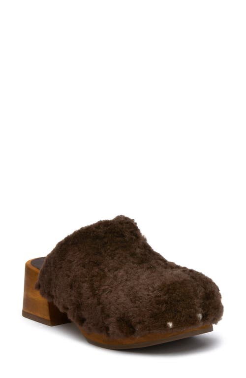Matisse Stockholm Faux Shearling Clog in Brown