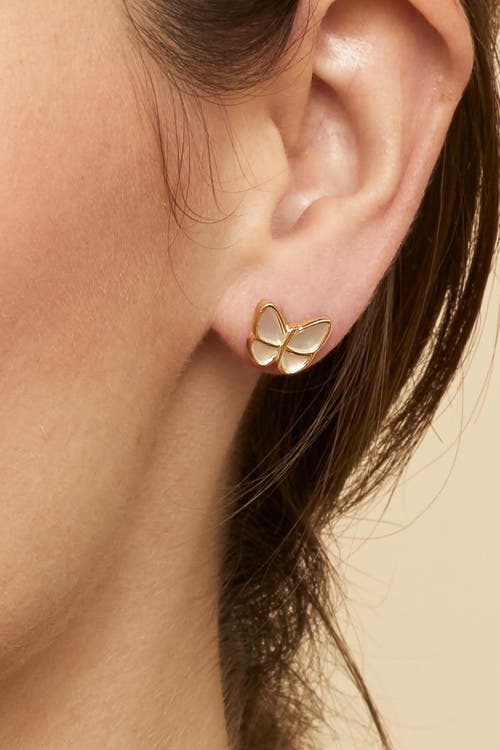 Oradina 14k Yellow Gold Flutter By Studs In Yellow Gold