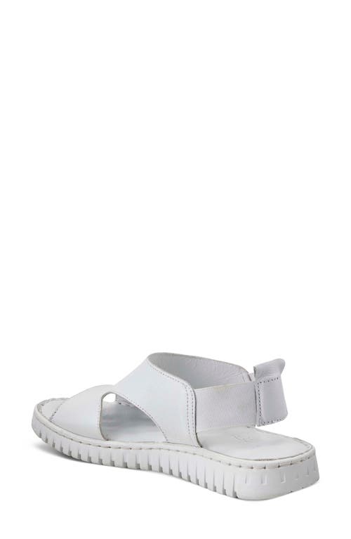 Shop Spring Step Abadessa Slingback Sandal In White