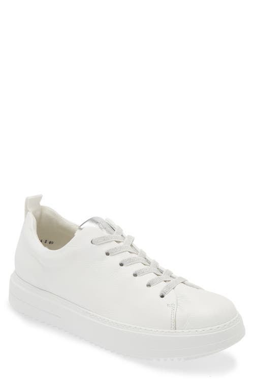 Shop Paul Green Upbeat Sneaker In White Alu Combo