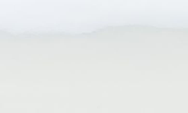 Shop Calvin Klein Ck Euphora Eau De Parfum Spray