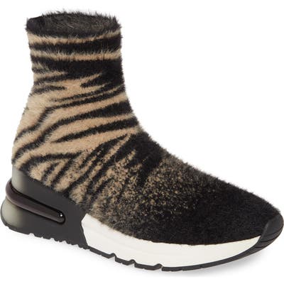 Ash King Knit Sneaker, Beige