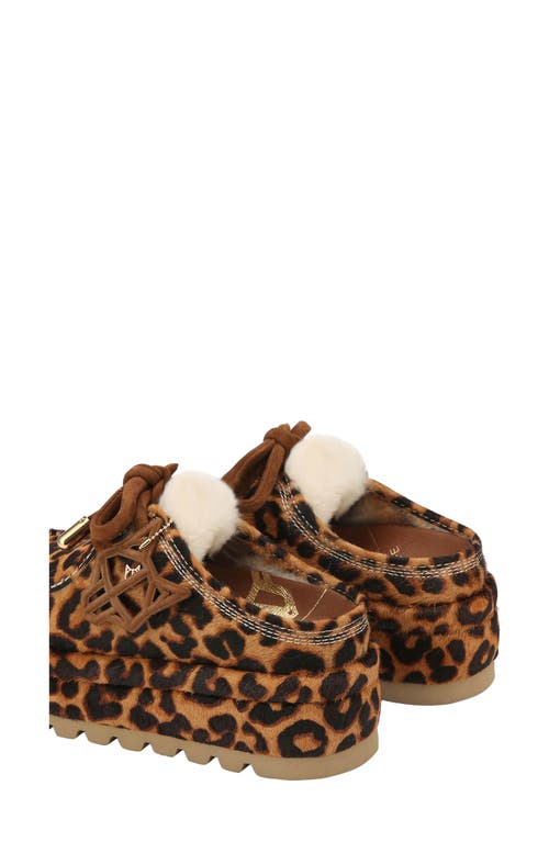 Shop Naked Wolfe Blizzard Genuine Shearling Platform Clog In Leopard-suede/shearling