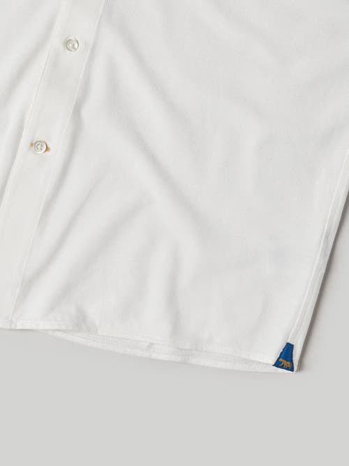Robert Talbott Foster Long Sleeve Knit Shirt In White