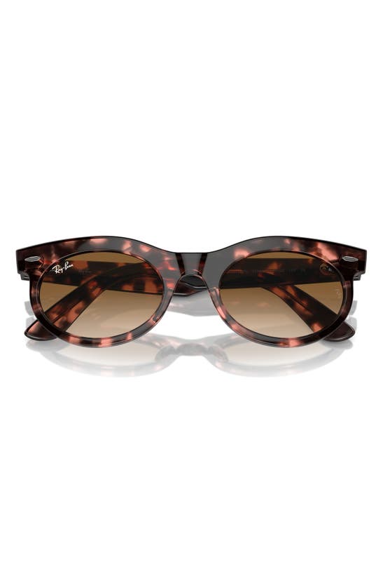 Ray Ban Wayfarer Oval Sunglasses Pink Havana Frame Brown Lenses 53-22 In Havana Pink