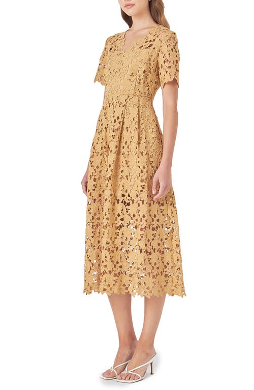 Endless Rose Allover Lace Midi Dress In Tan