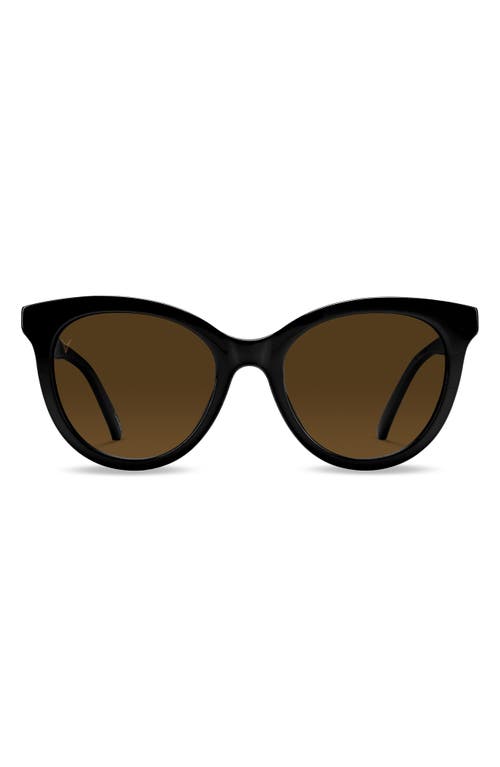 Demi 53mm Polarized Round Sunglasses in Jet Black Brown