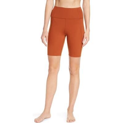 Plus Size Girlfriend Collective High Waist Bike Shorts, Brown