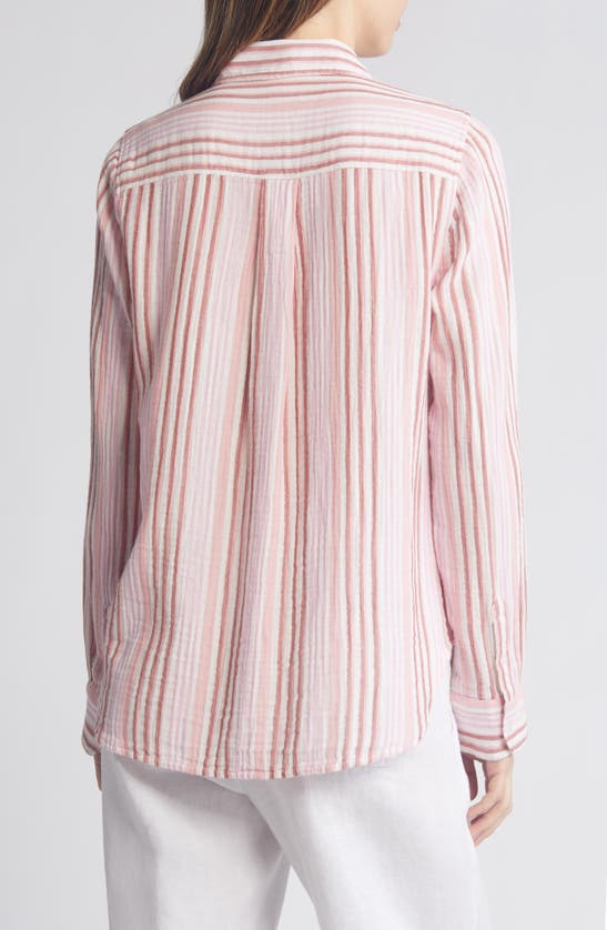 Shop Caslon Stripe Cotton Gauze Button-up Shirt In Ivory Cloud- Pink F Vera Stp