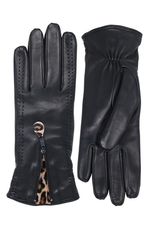 Cashmere Lined Leather Gloves in Black/Animalier