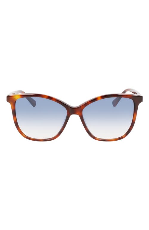 Longchamp 57mm Le Pliage Tea Cup Sunglasses in Havana at Nordstrom