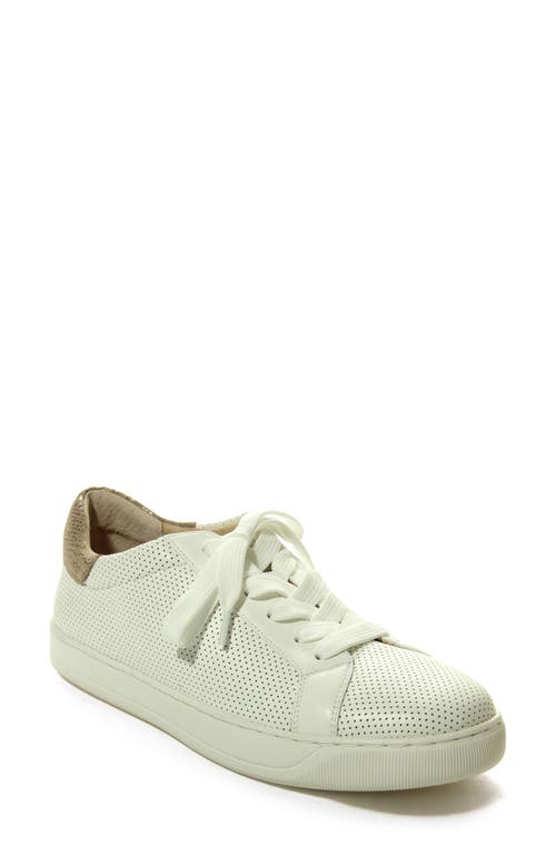 Coyle Sneaker in White Perf Nappa