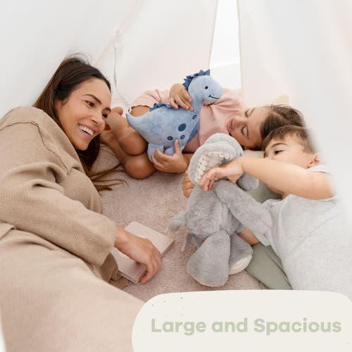 Comfy Cubs Kids Play Tent In Sage