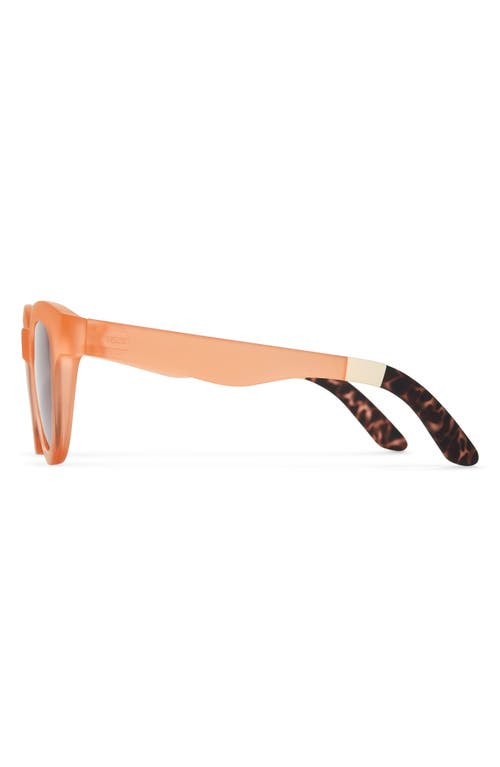 Toms Florentin 52mm Cat Eye Sunglasses In Peach Crystal Fade/blue