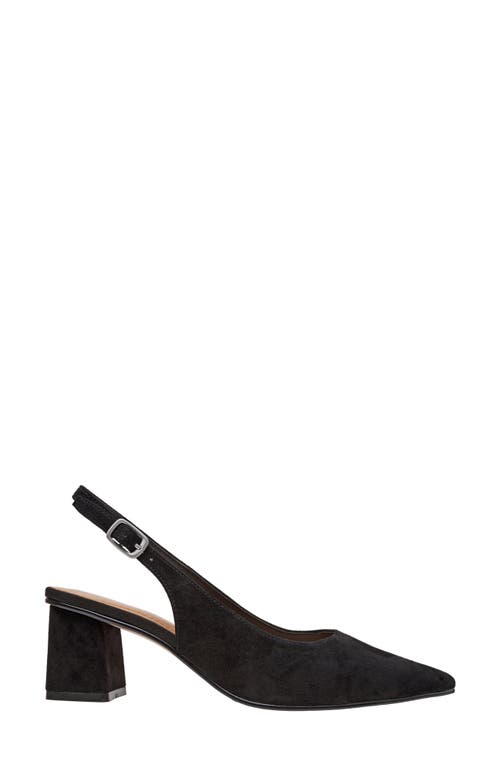 Shop Lisa Vicky Zee Pointed Toe Slingback Pump In Black