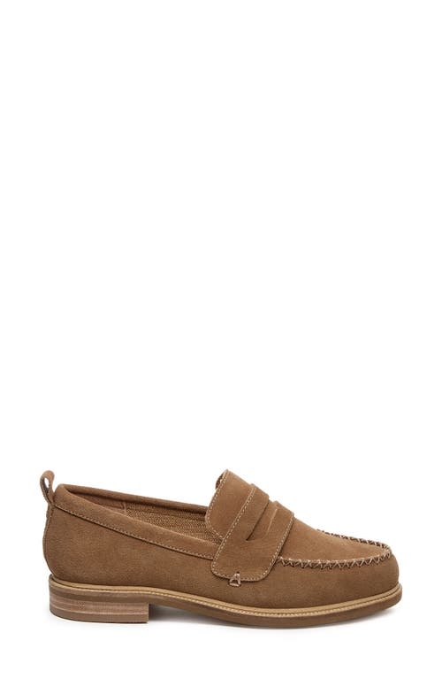 Ruby & Bloom Lens Penny Loafer In Armadillo