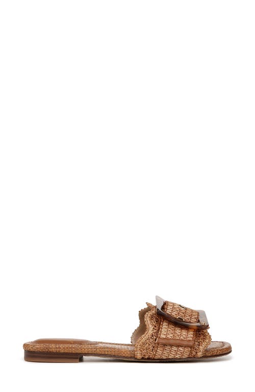 Sam Edelman Bambi Sandal In Brown