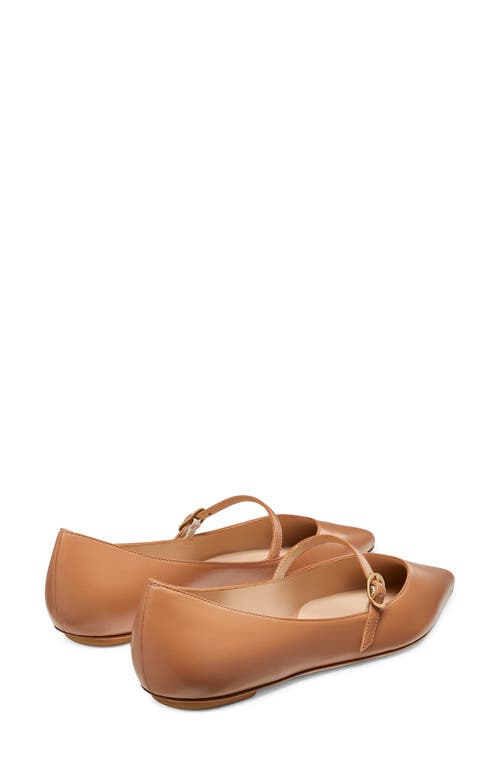 Shop Stuart Weitzman Emilia Mary Jane Flat In Tan