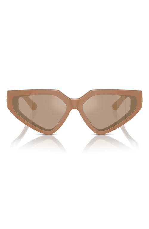 Shop Dolce & Gabbana Dolce&gabbana 59mm Butterfly Sunglasses In Camel