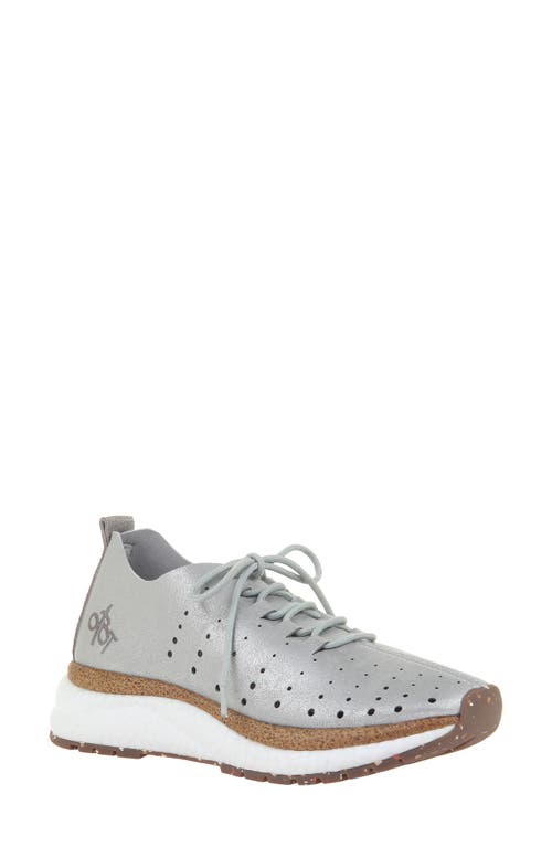 Alstead Perforated Sneaker in Silver Suede