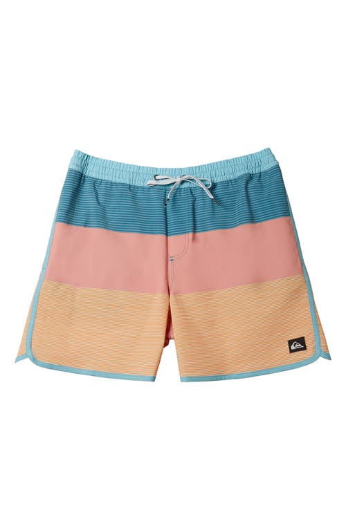 Quiksilver Surfsilk Tijuana Volley Swim Trunks in Canyon Clay at Nordstrom, Size Xl