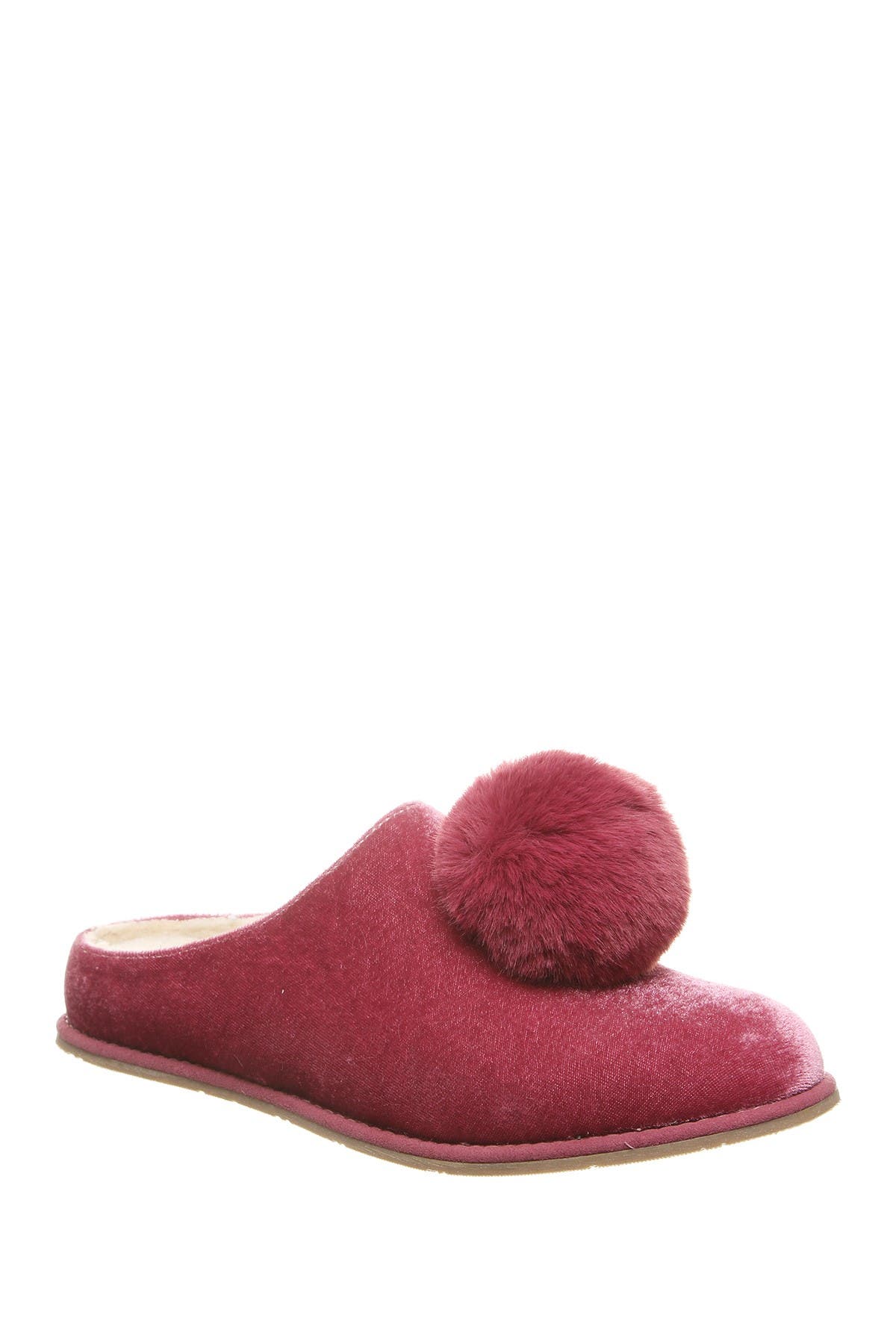 bearpaw tango slipper