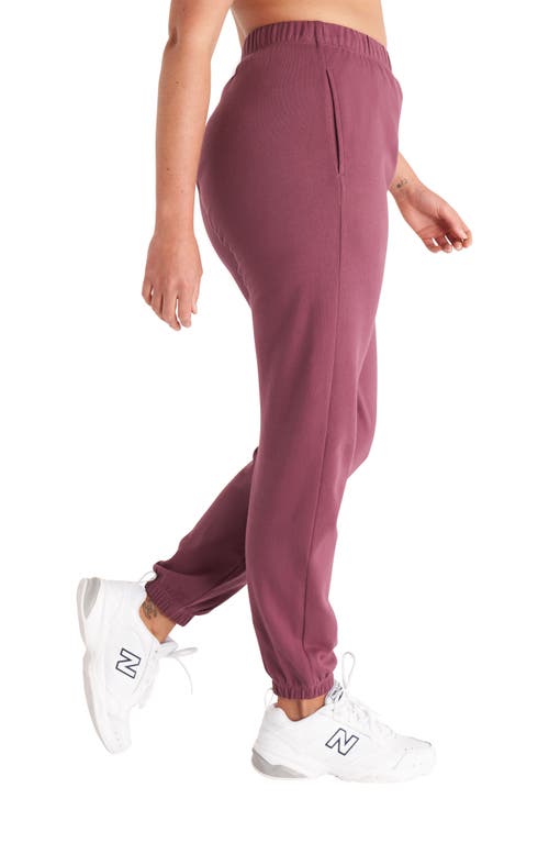 The Standard Stitch The Sweatpant In Plum