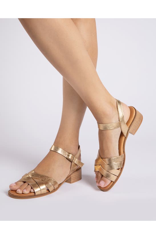 Penelope Chilvers Shepherdess Ankle Strap Sandal In Gold