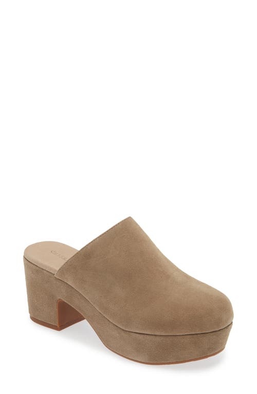 Shop Chocolat Blu Ginette Platform Clog In Taupe Suede