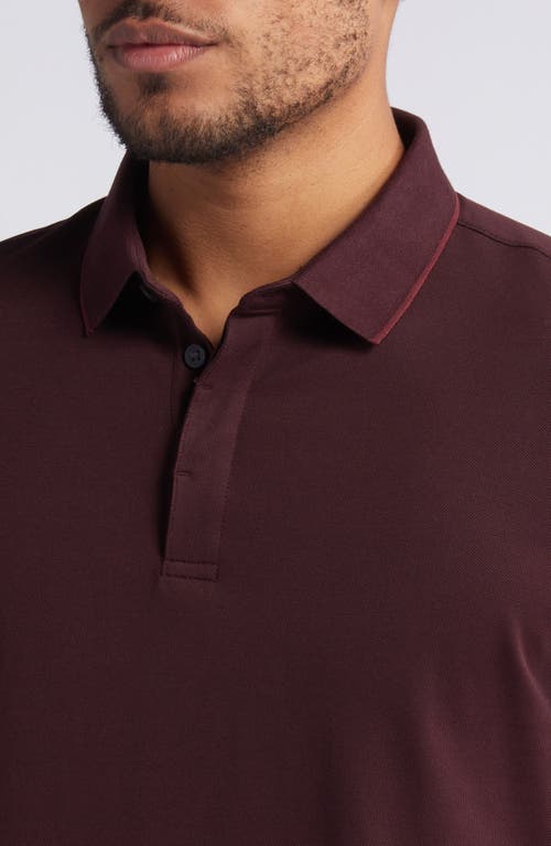 Shop Robert Barakett Hunter Tipped Solid Polo In Deep Bordeaux