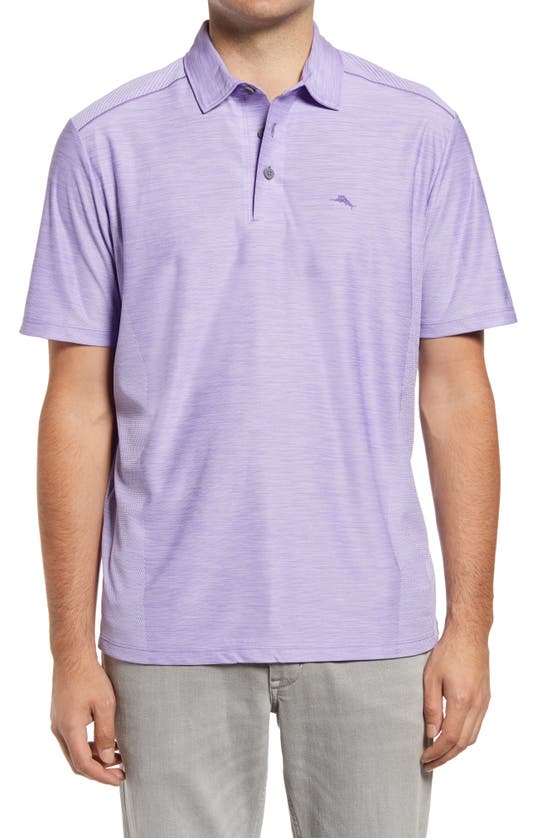 Tommy Bahama Palm Coast Classic Fit Polo In Violet Tulip