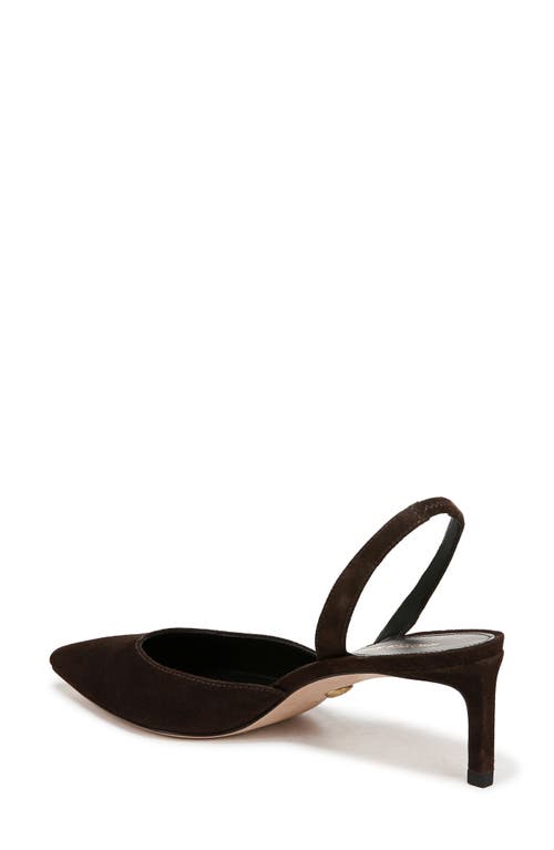 Shop Veronica Beard Caroline Slingback Pointed Toe Kitten Heel Pump In Espresso