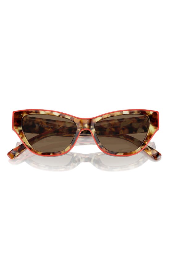 Shop Tory Burch 54mm Cat Eye Sunglasses In Dark Brown