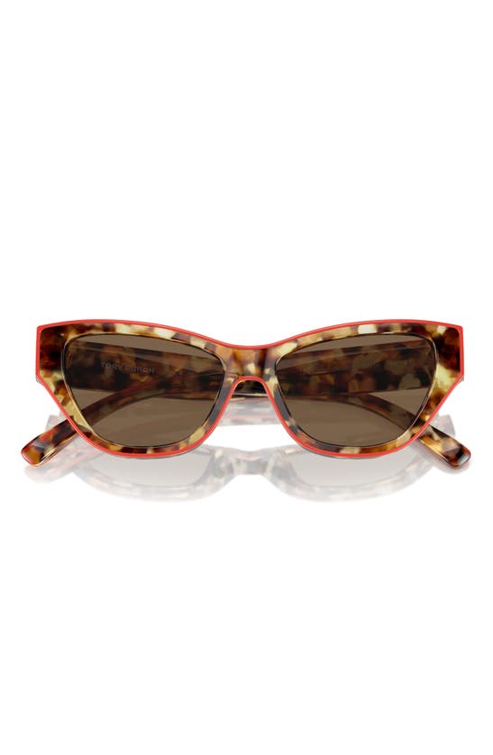 Tory Burch 54mm Cat Eye Sunglasses In Dark Brown