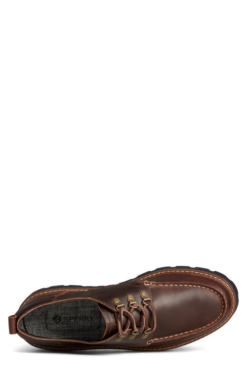 Shop Sperry Mountain Sider Waterproof Oxford In Dark Tan