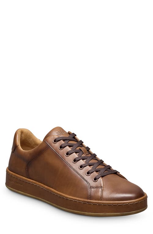 Allen Edmonds Men's Barnes Leather Low-top Sneakers In Mahogany