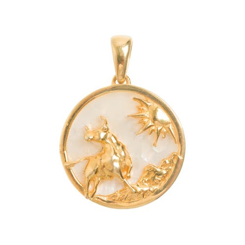 Shop Freya Rose Zodiac Pendant In Taurus