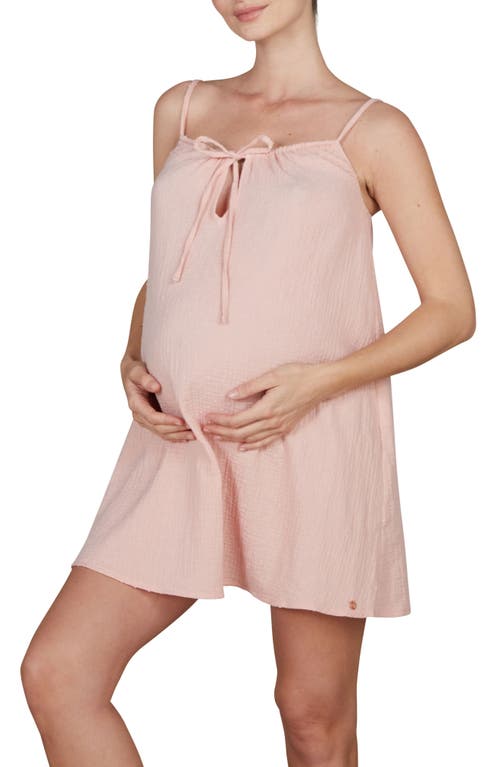 Cache Coeur Organic Cotton Maternity & Nursing Nightgown at Nordstrom,