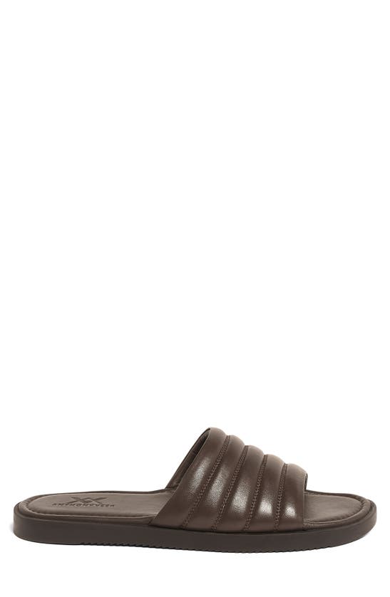 Shop Anthony Veer Key West Leather Slide Sandal In Brown