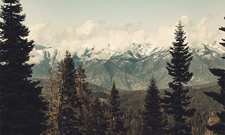 Icanvas Snow Capped Sierra Mountains And Fir Trees In Sequoia National Park California By Nature Magick Canv In Mountain Forest