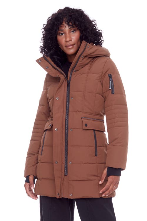 Shop Alpine North Kootney In Maple