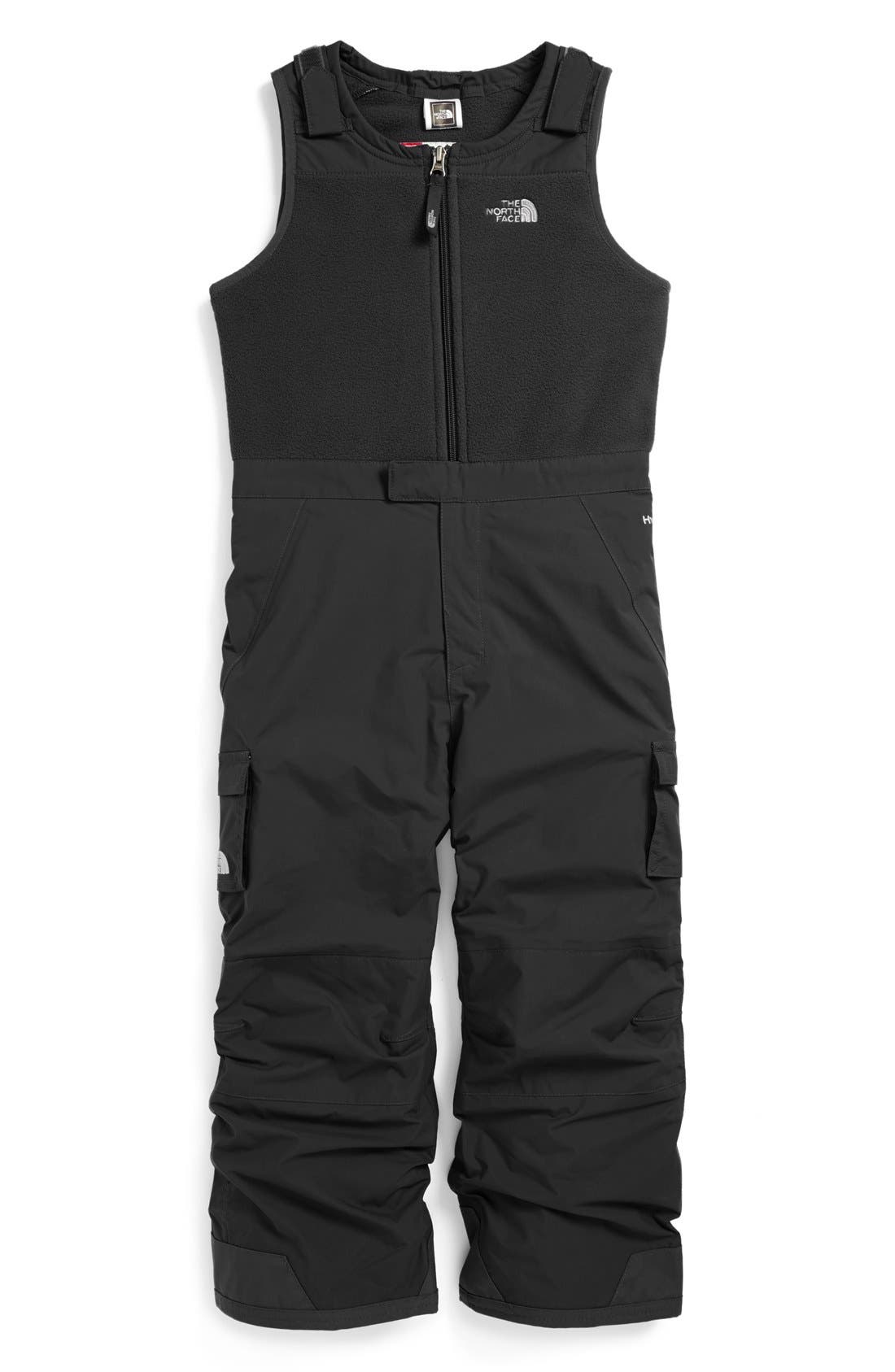The North Face Insulated Bib Snow Pants 