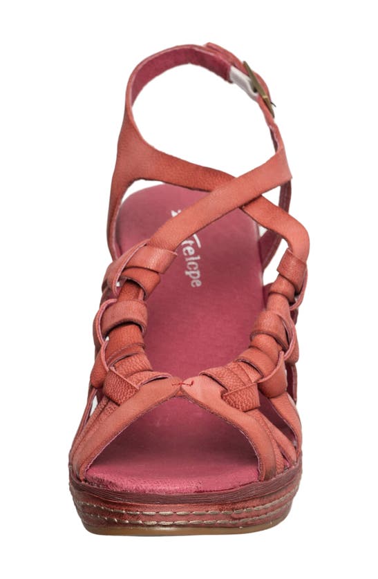 Shop Antelope Genna Platform Wedge Sandal In Bordeaux Leather