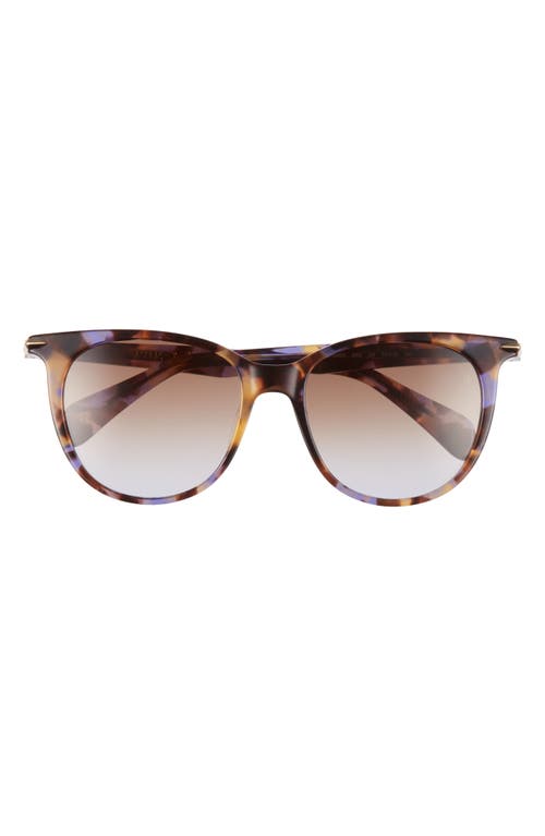 Rag & Bone 53mm Gradient Cat Eye Sunglasses In Brown/violet Havana/violet