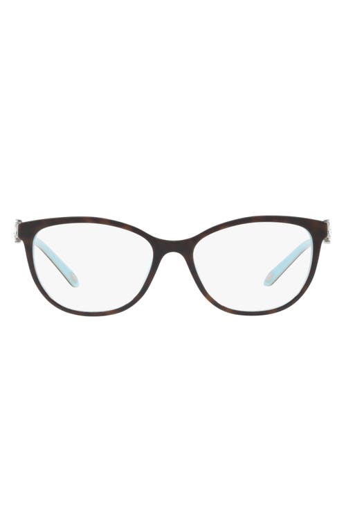Tiffany & Co. 54mm Optical Glasses in Havana Blue at Nordstrom