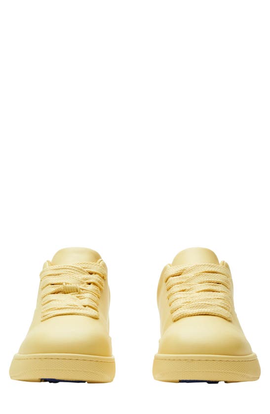 Shop Burberry Leather Box Sneaker In Daffodil