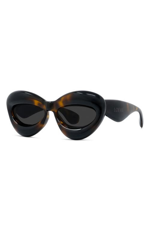 Shop Loewe 55mm Cat Eye Sunglasses In Dark Havana/smoke